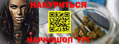 крисы Будённовск